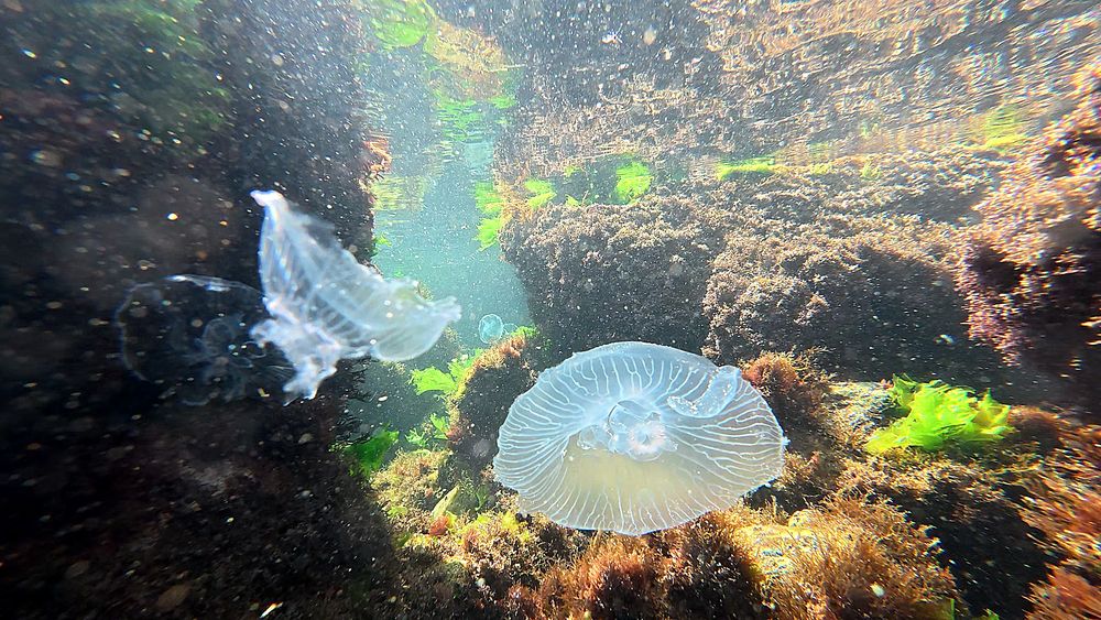 Photograph by Яна Кисловская