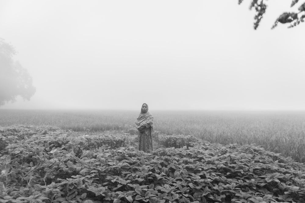 A Stroke of Erasure