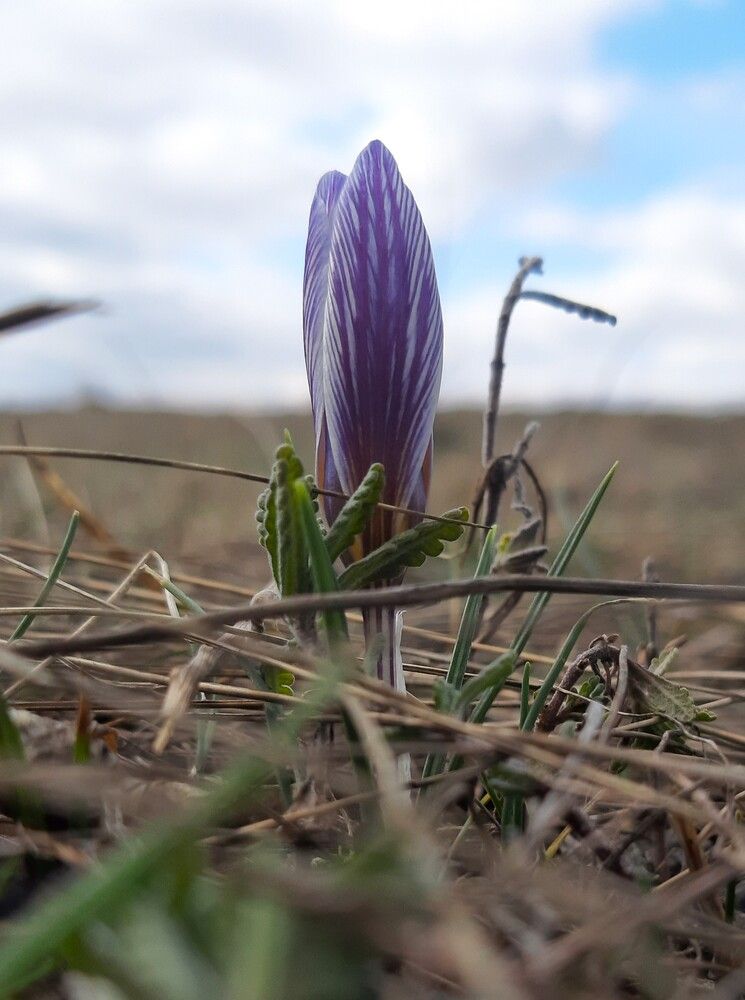 Photograph by Галина Глазкова