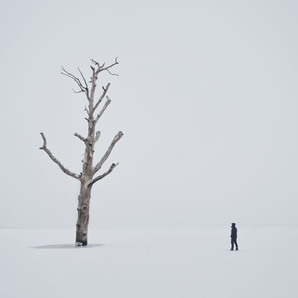 The last one on the lake