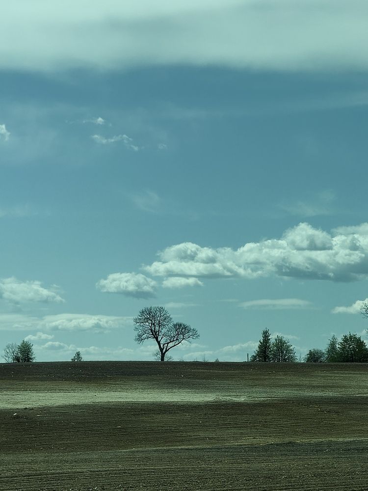 Фотография автора Яна Маракулина