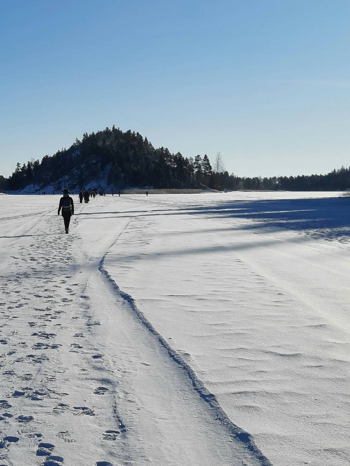 Photo #13660649