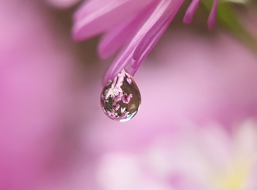 Photograph by NGUYEN LIEN