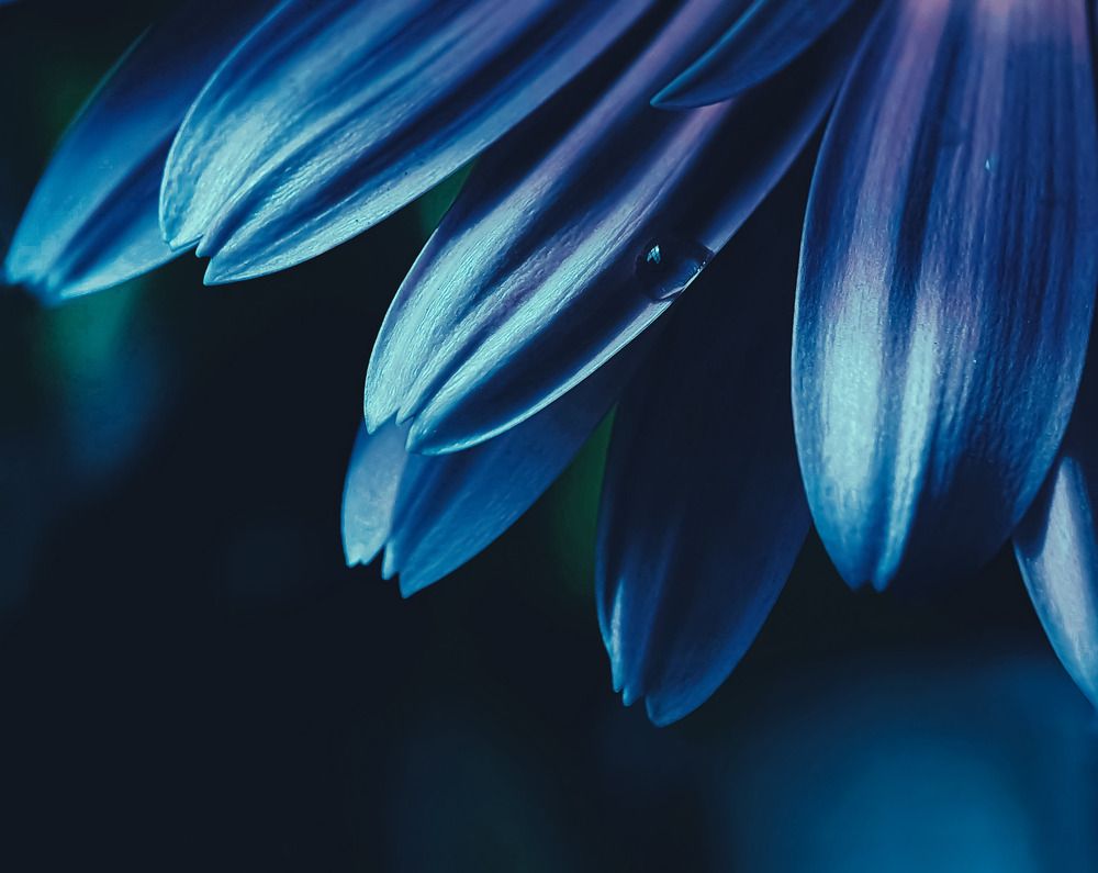 Photograph by NGUYEN LIEN