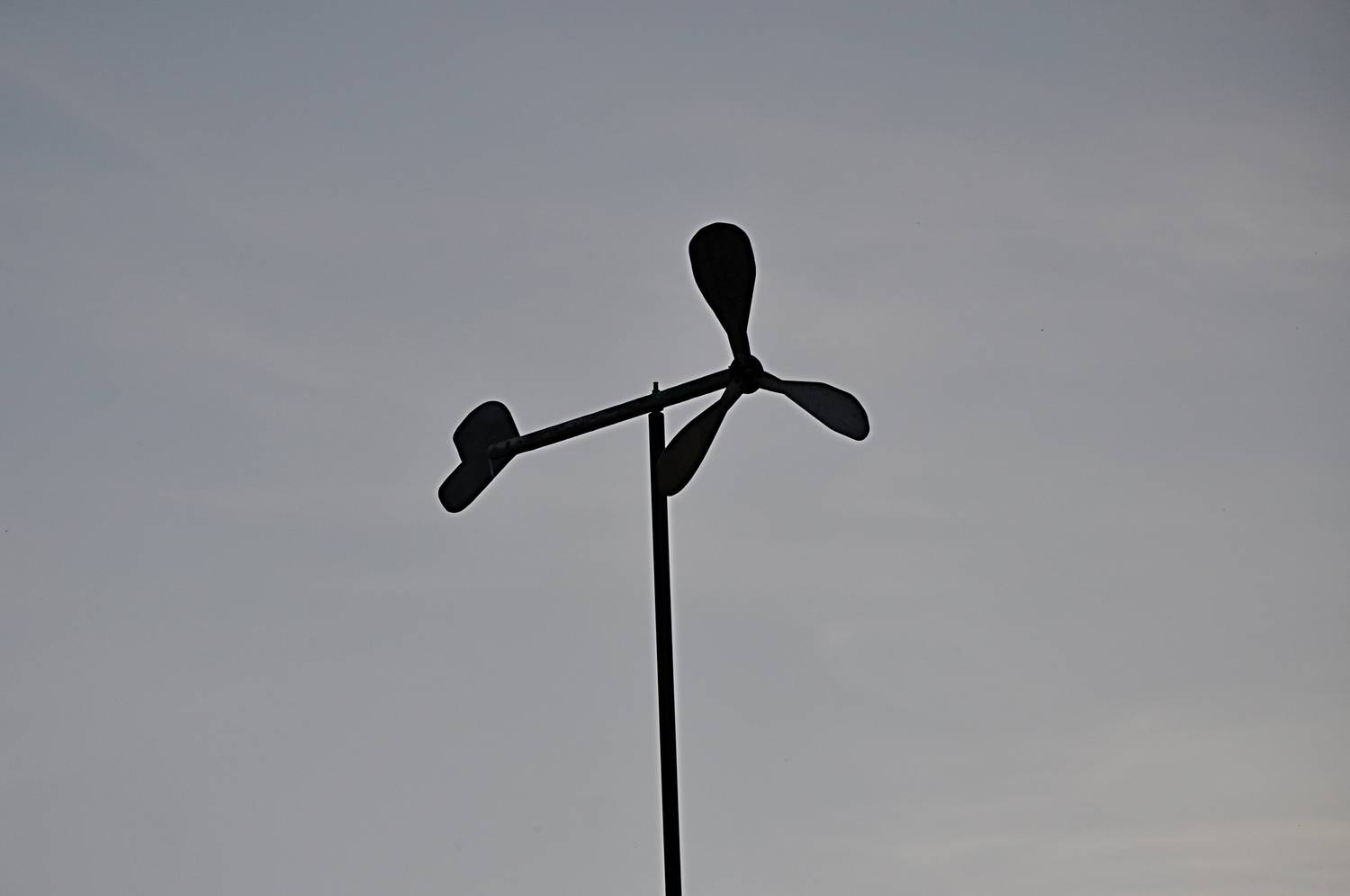 Photo #13660746