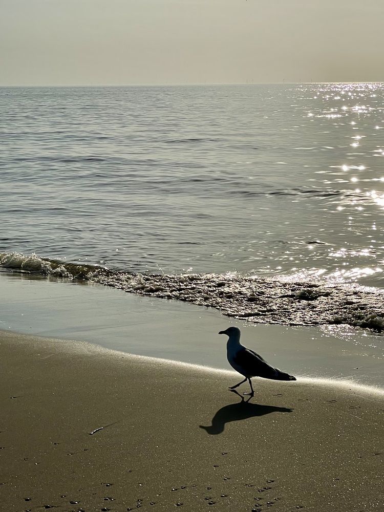 Photograph by Nadezhda