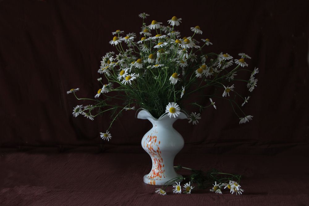Photograph by Галина Трофимова
