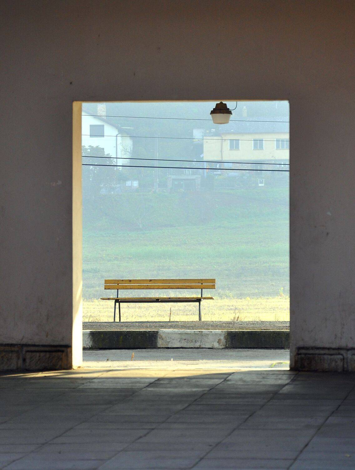 Photo #13660900