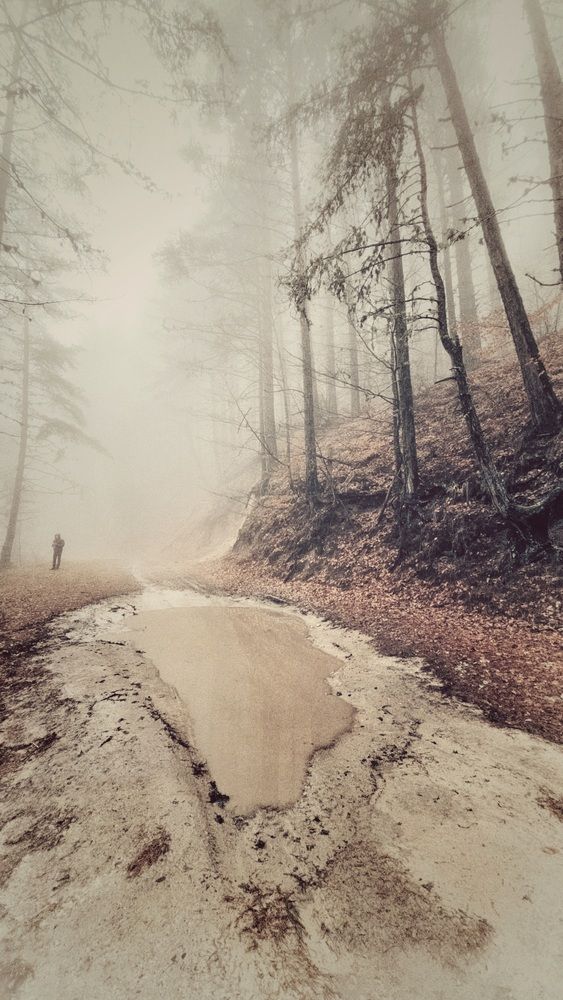 Photograph by Viktorova
