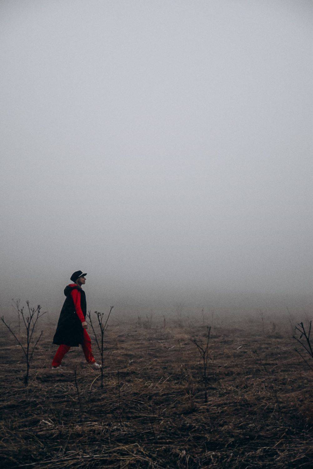 Photo #13661084