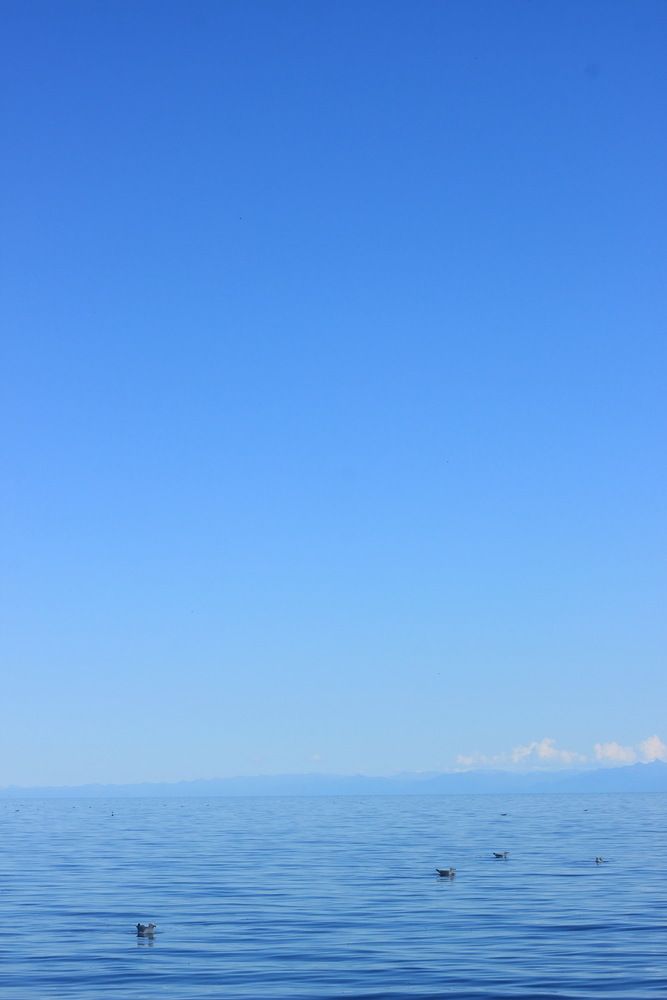 Photograph by Анастасия Ощепкова