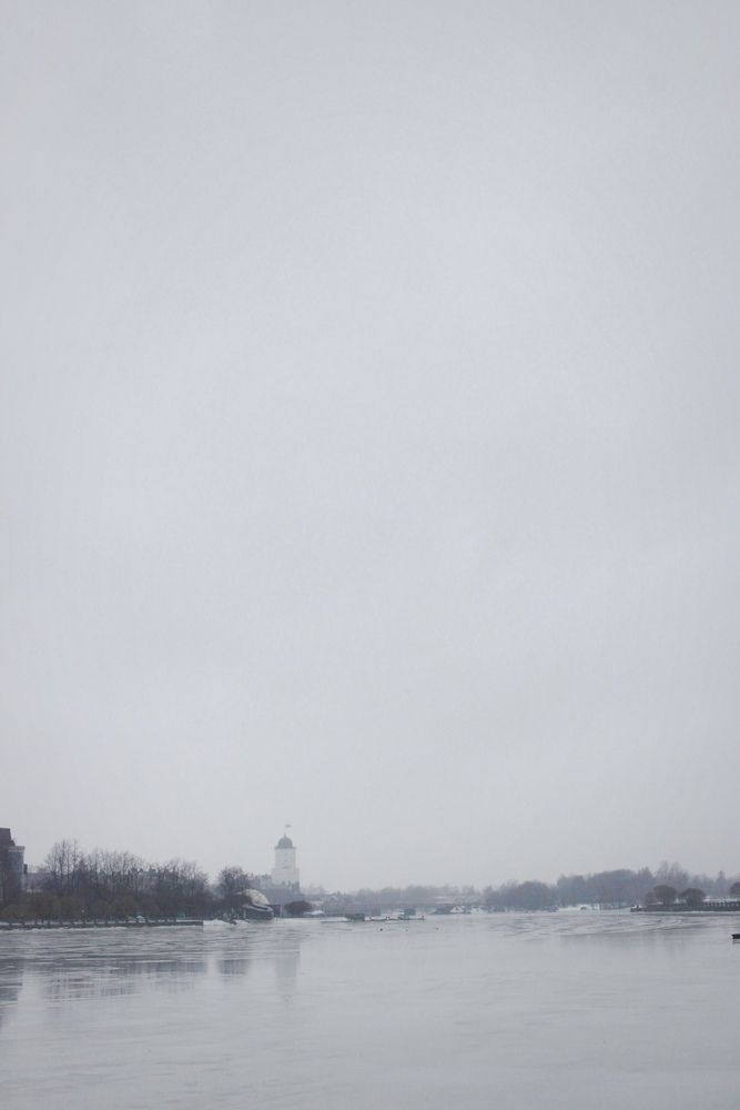 Photo #13661142