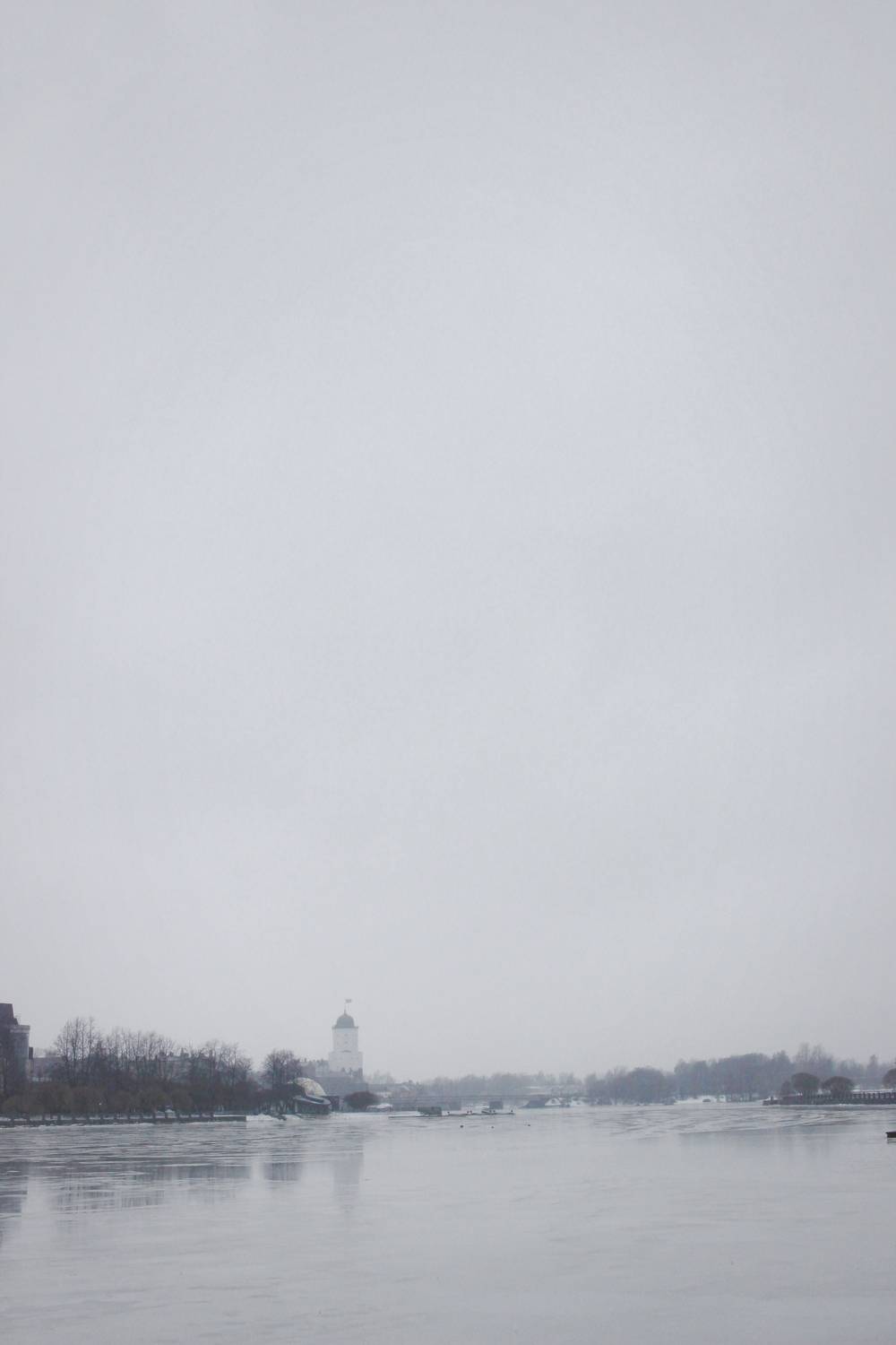 Photo #13661142
