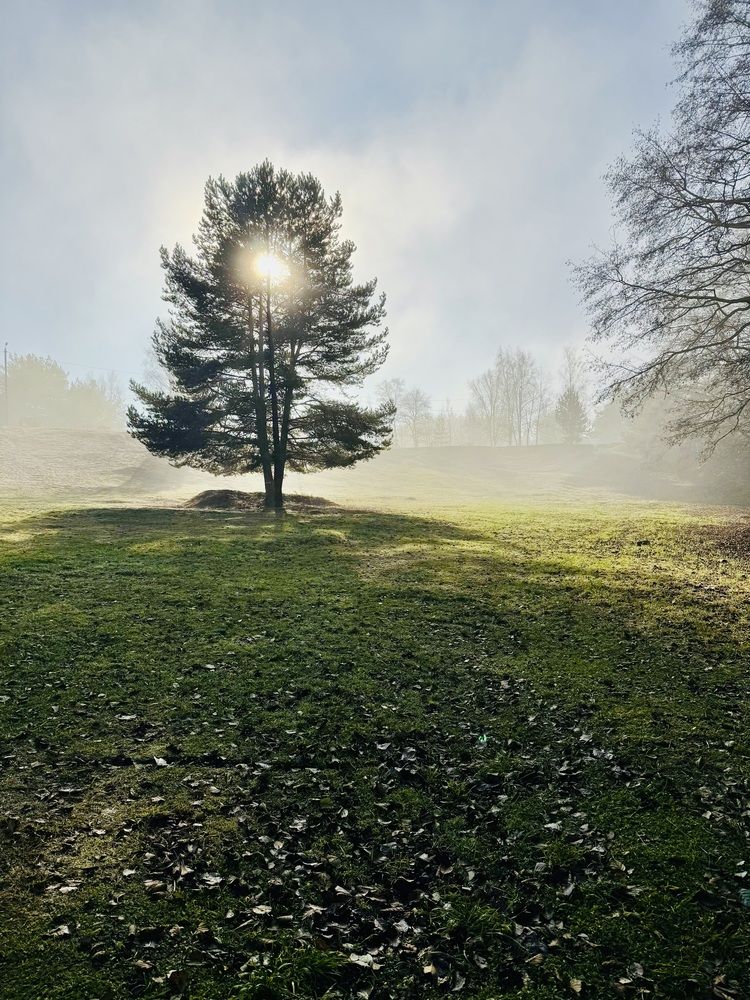 Photograph by Елизавета Павлова