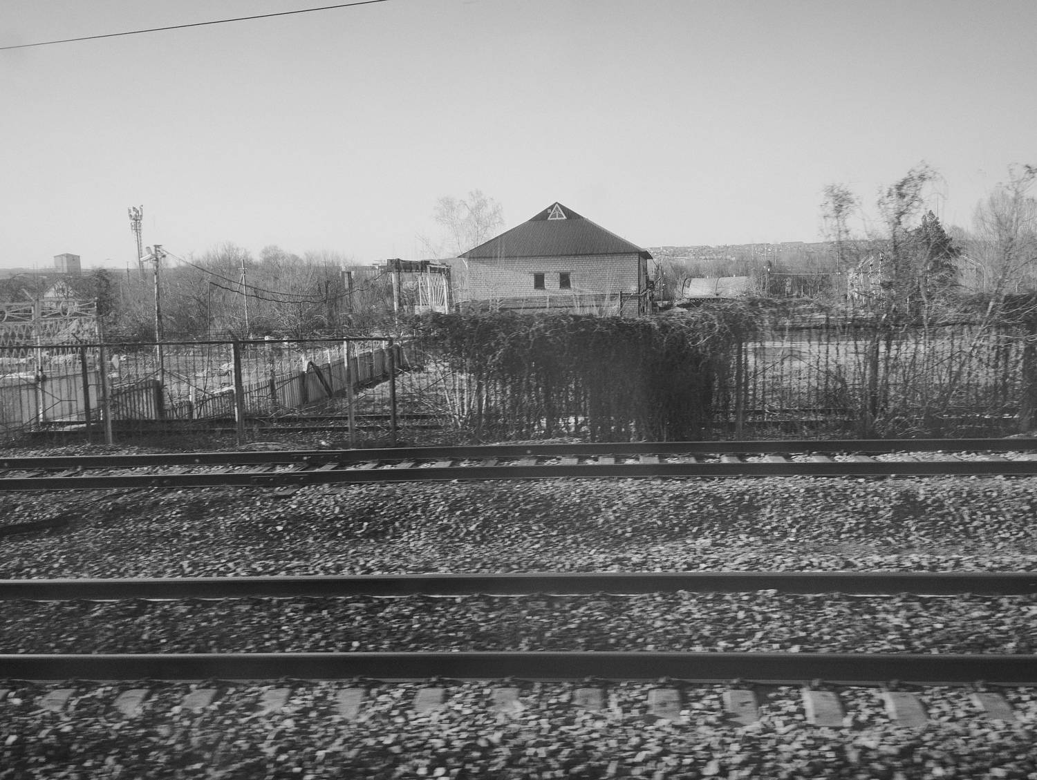 Photo #13661188