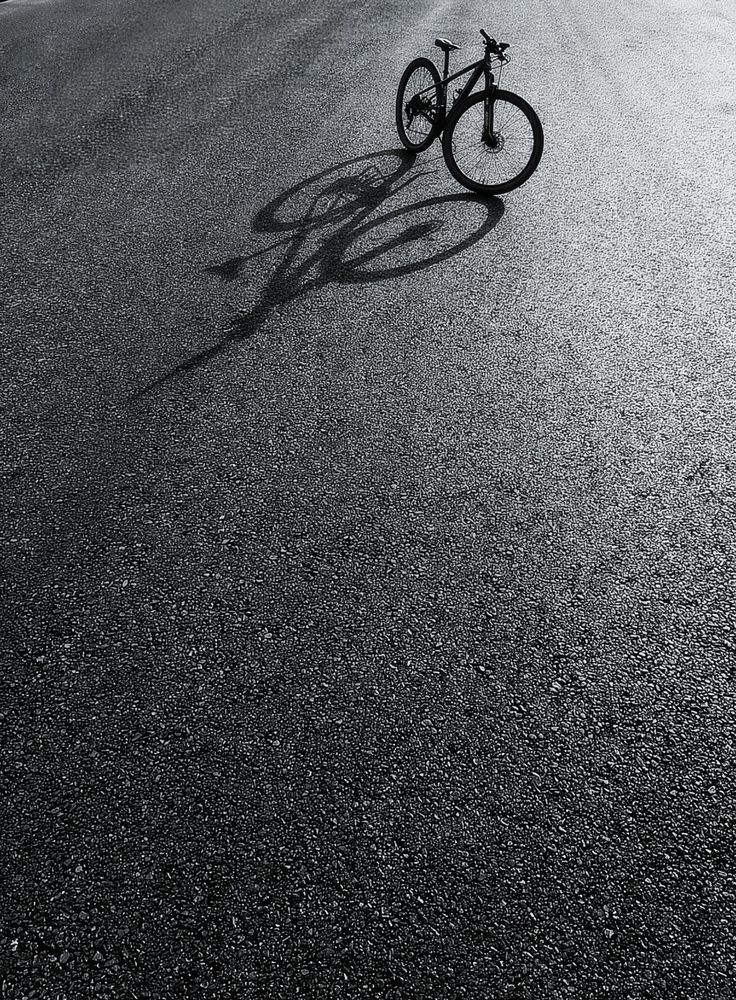 Photograph by Thịnh Nguyễn
