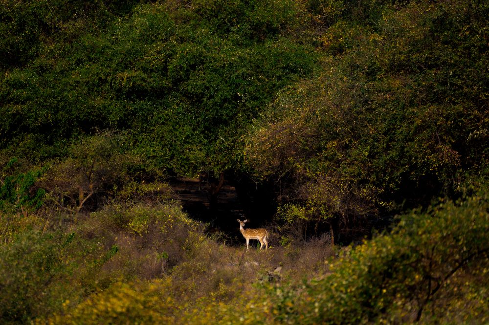 Photograph by Atul Sharma