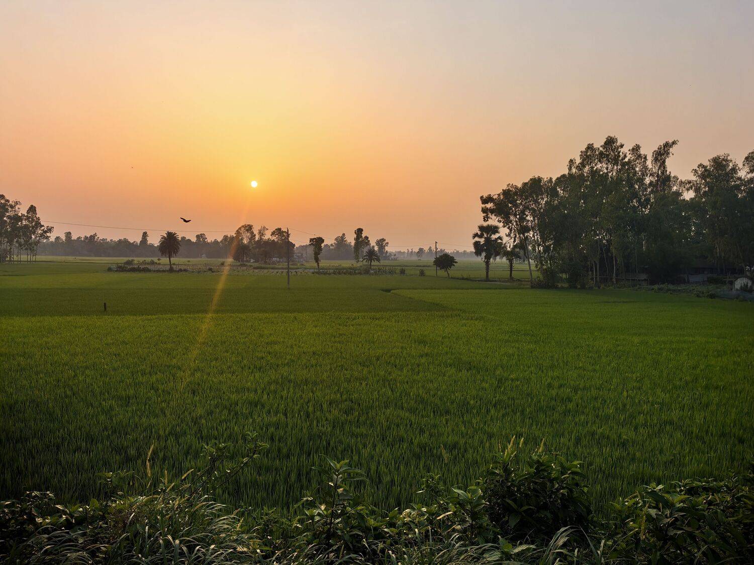 Sunset in Bangladesh