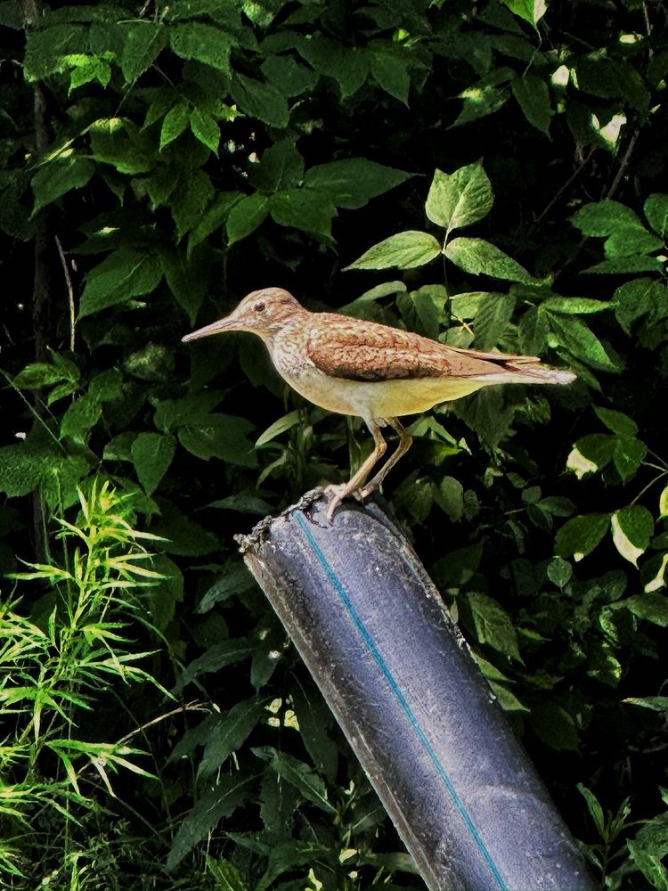Photograph by Галина Шиманцова