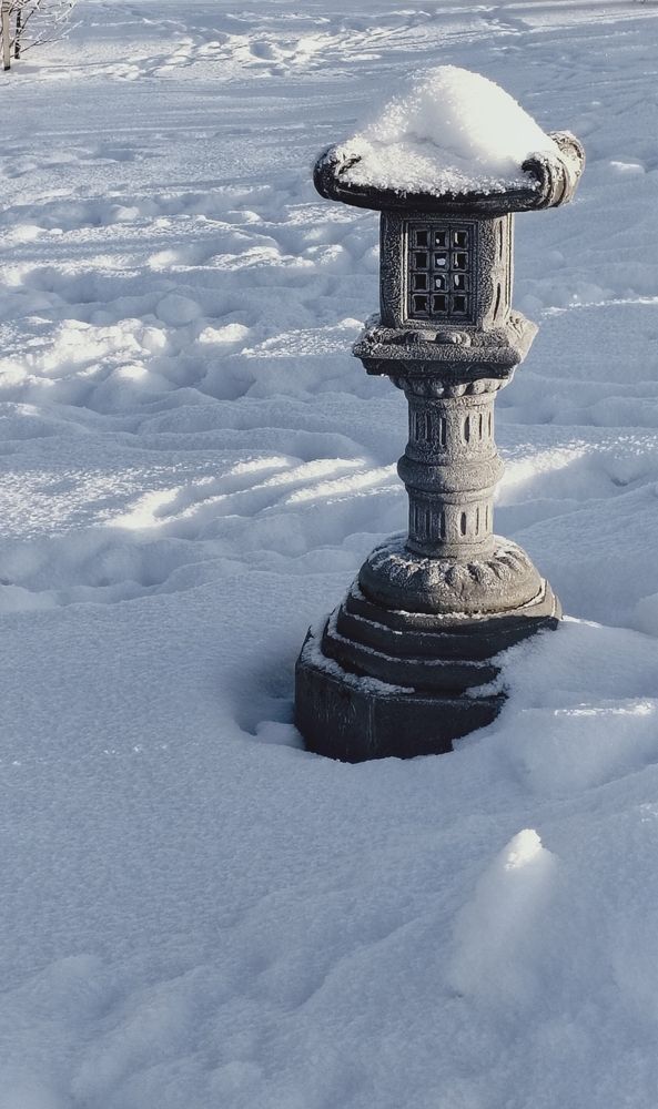 Photo #13661299
