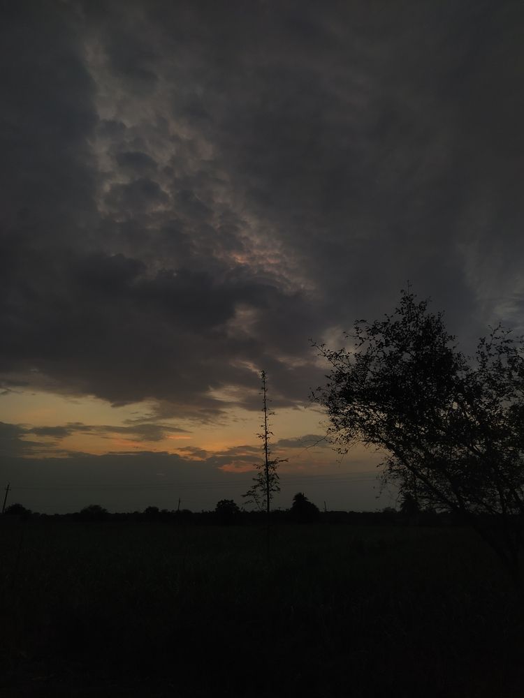 Photograph by Kartik Kulkarni