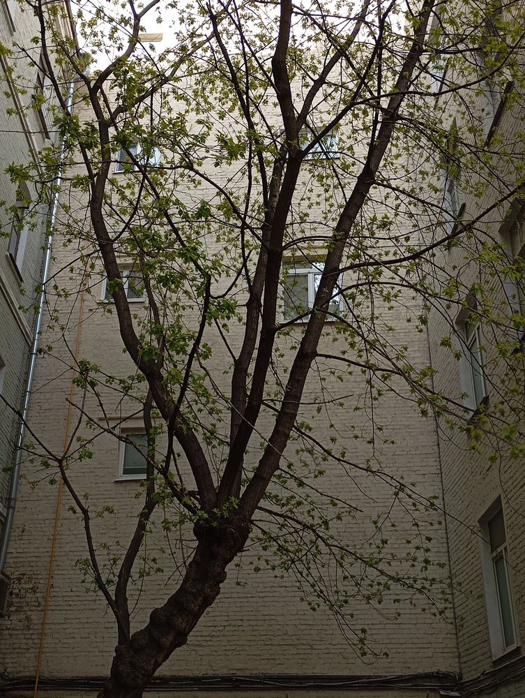 Photo #13661361