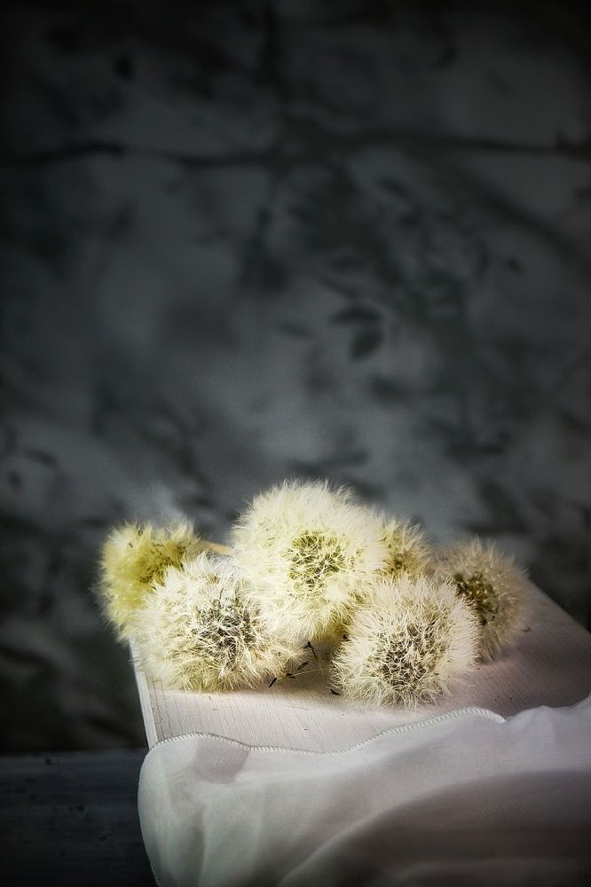 Photograph by Светлана Васильева