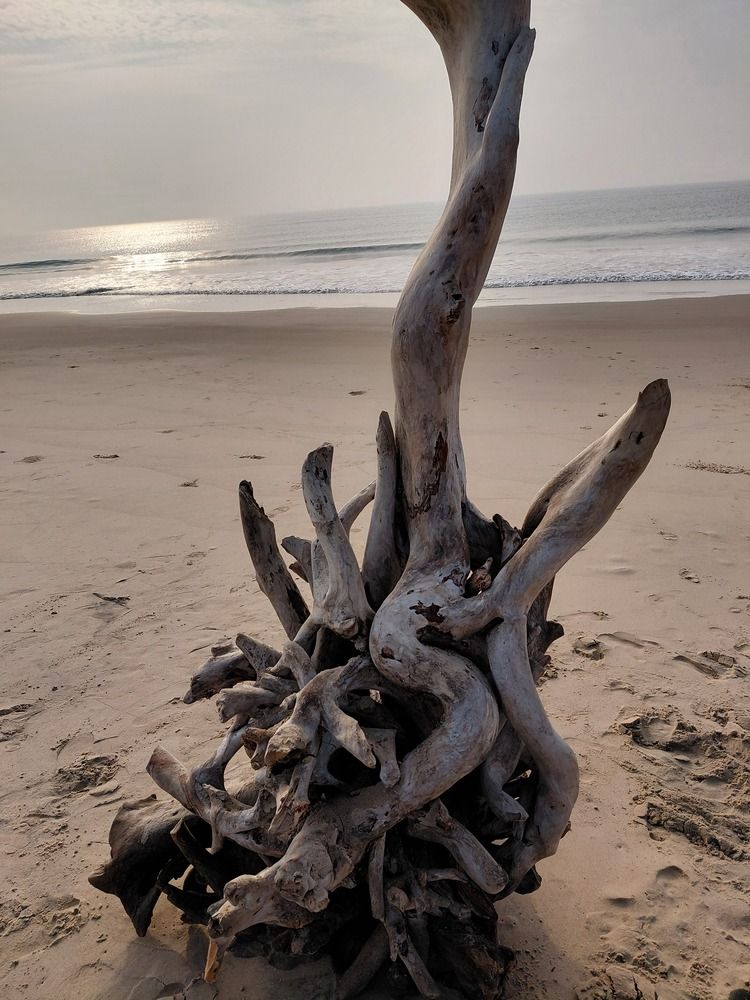 Photograph by Sayed Tarana
