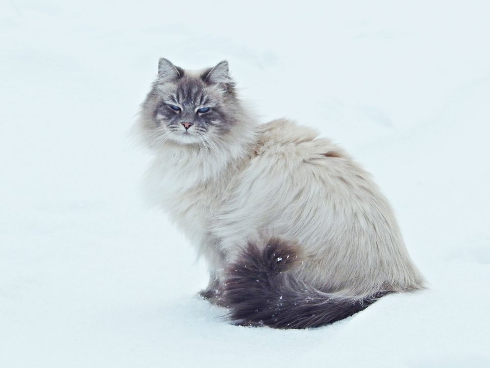 Photograph by Юрий Пучков