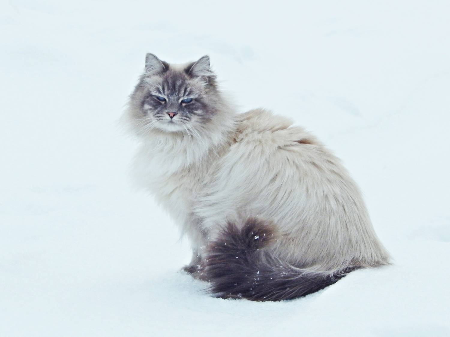 Photo #13661623