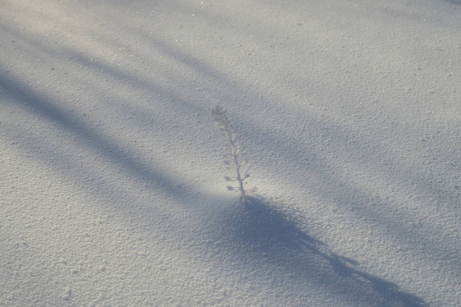 Photo #13661666