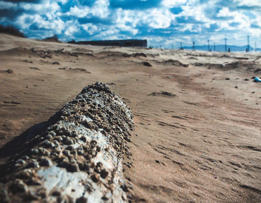 Photograph by Наталья Алхимова