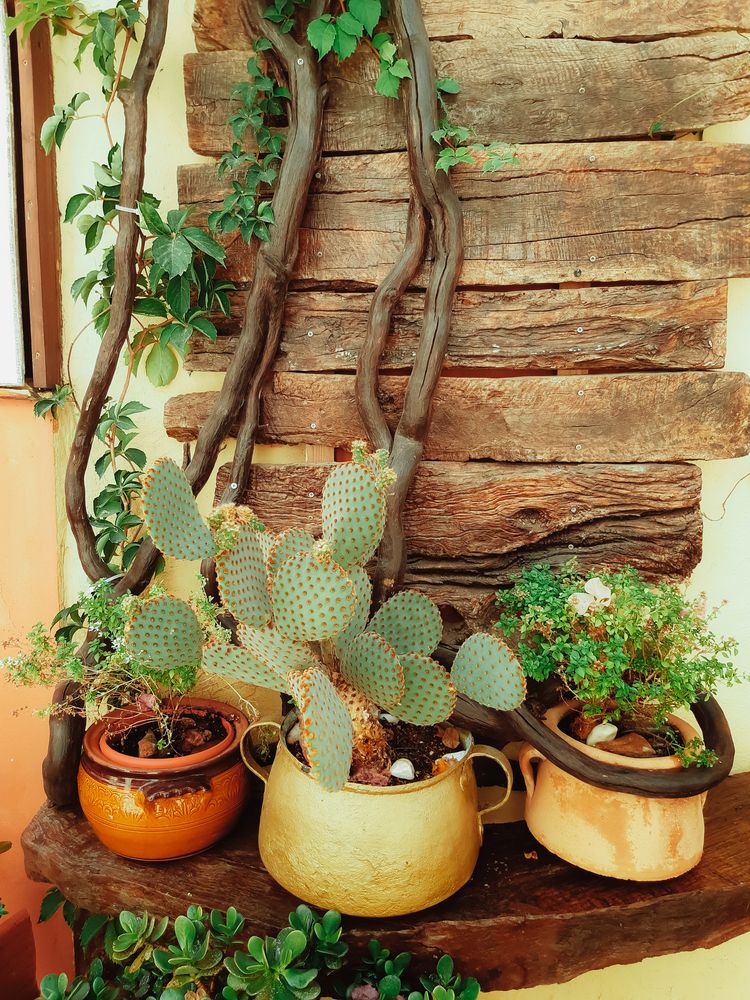 Photograph by Grushko Valeriya