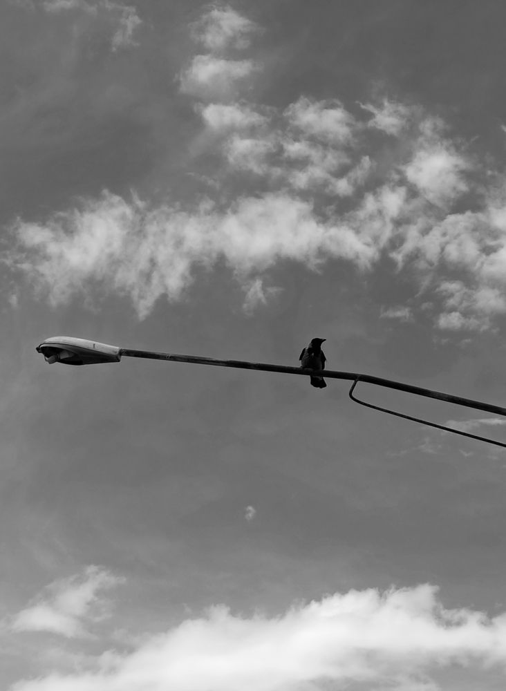 Photograph by علی اصغر آهنگری