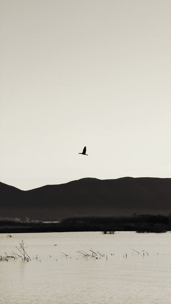 Photograph by Ирина Багдасарова