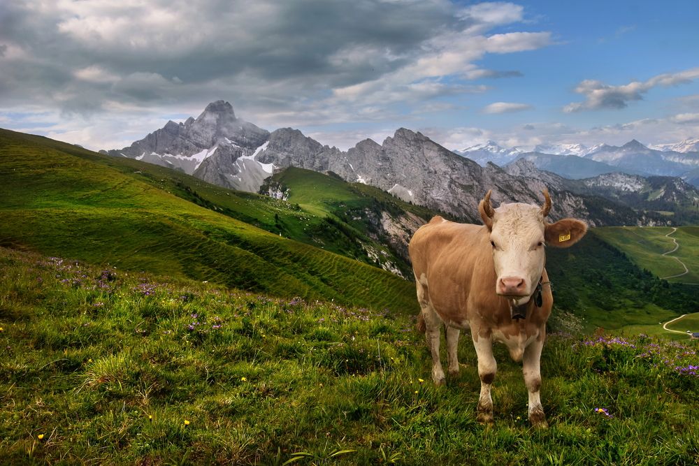 Photograph by Wymann Elena