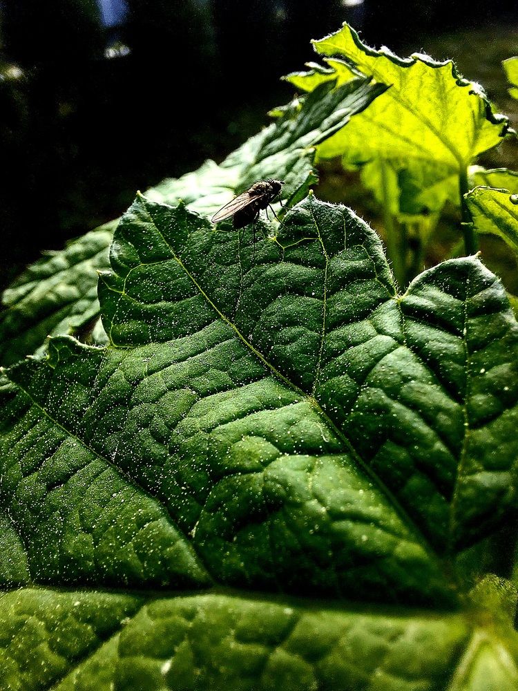 Photograph by Natali Crys