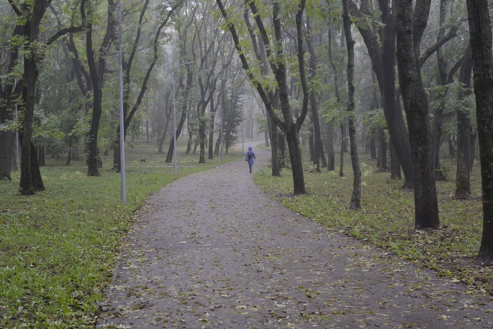 Photograph by Геннадий Чеботарев