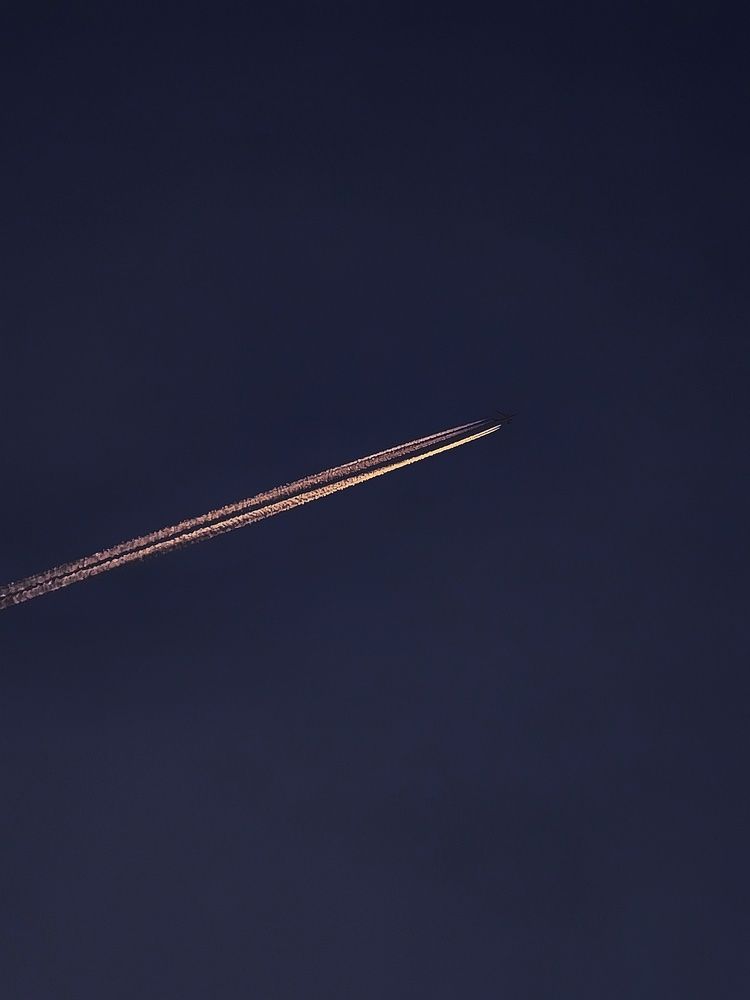 Photograph by Светлана Кустова