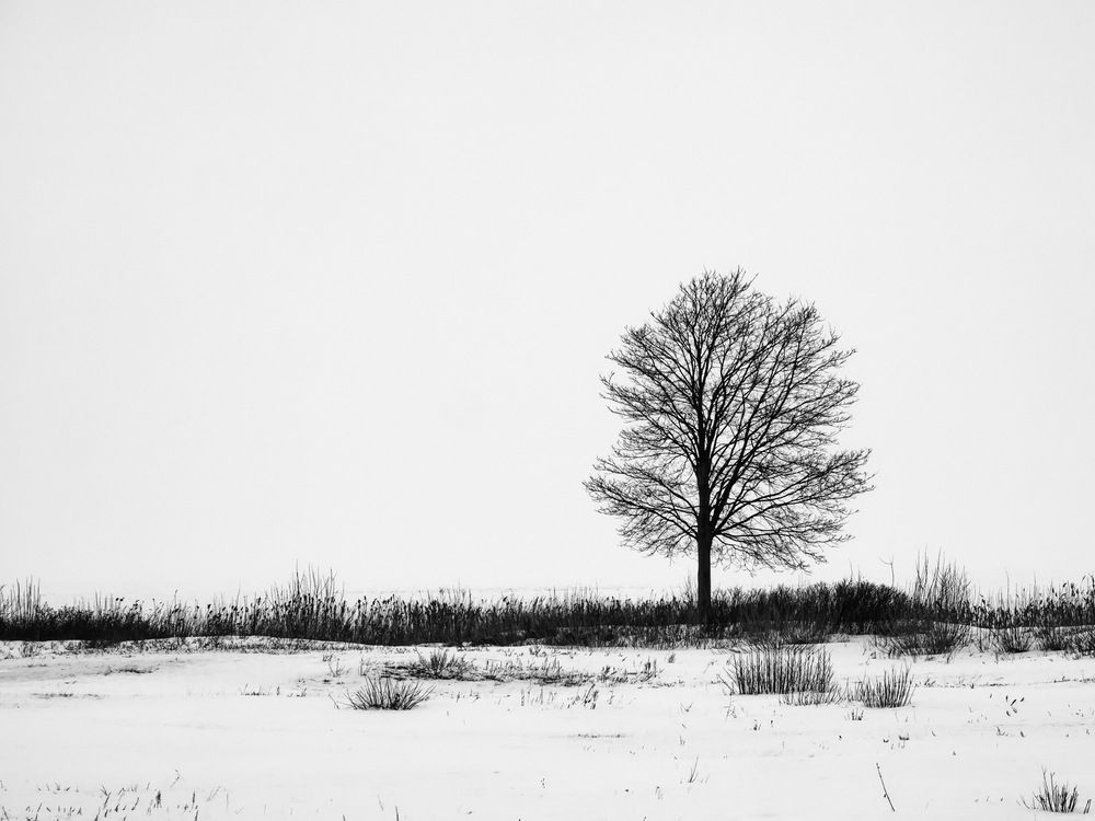 Photograph by Андрей Панин