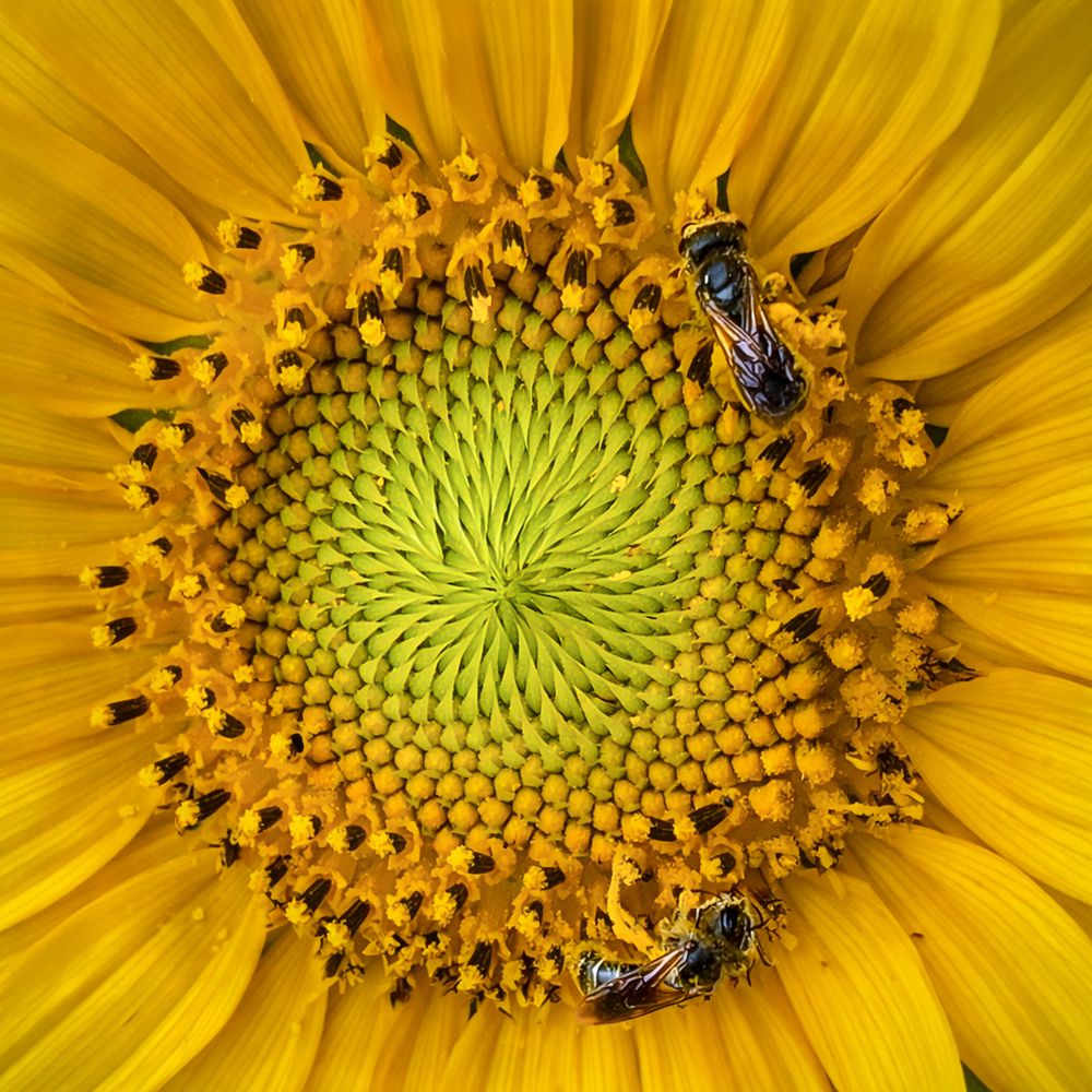 Photograph by Jeff Cooley