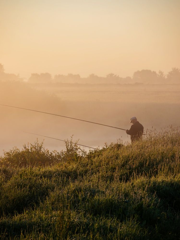 Photograph by Анна Любимова