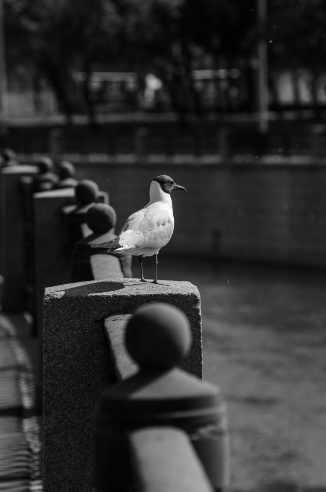 Photograph by Евгений Королев