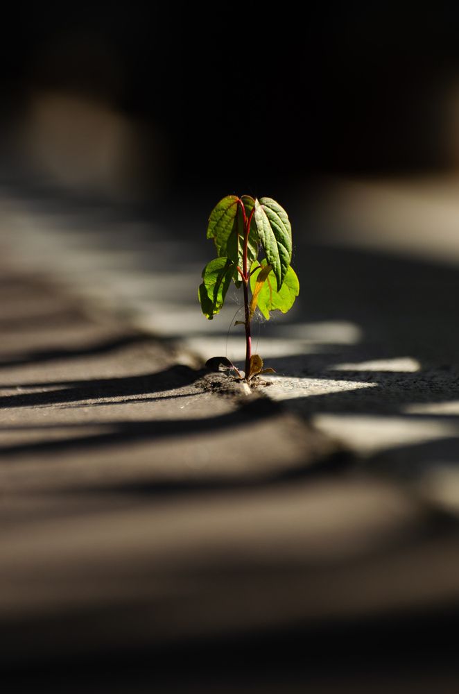 Photograph by Евгений Королев