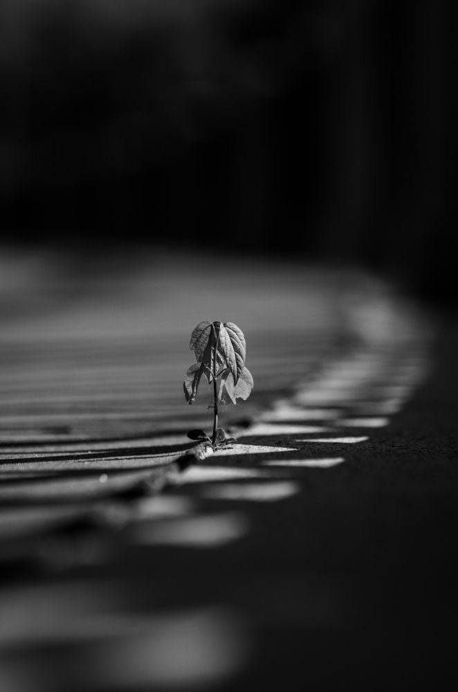 Photograph by Евгений Королев