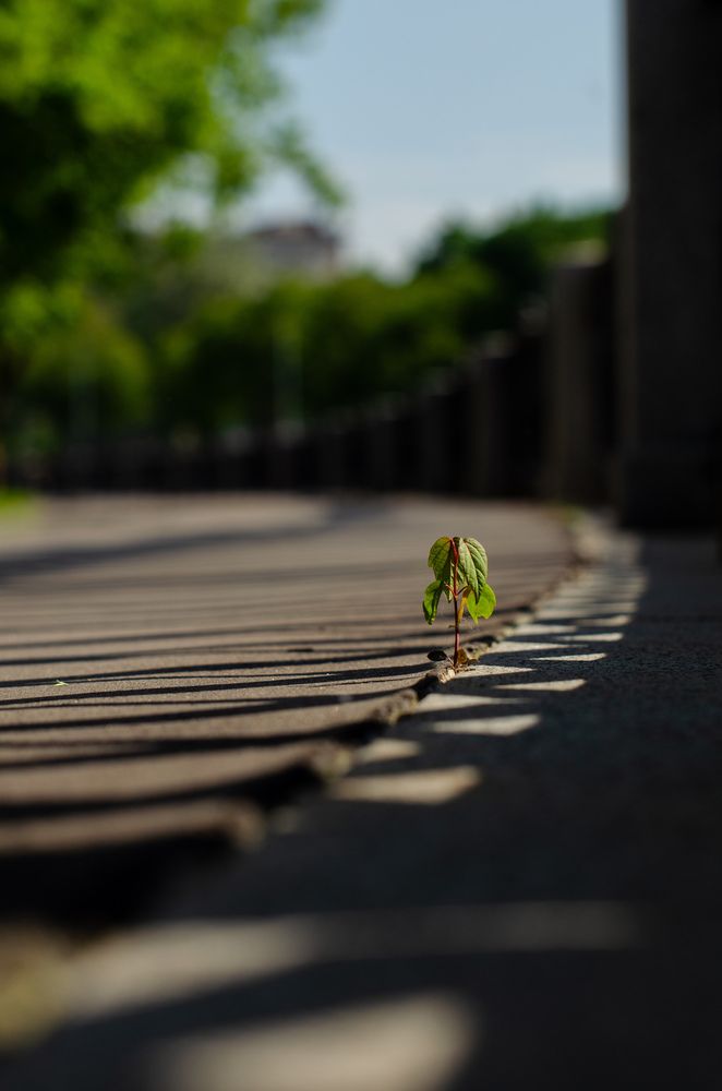 Photograph by Евгений Королев