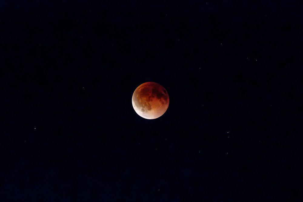 Photo #13662302