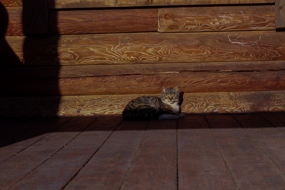 Photograph by Кристина Новикова