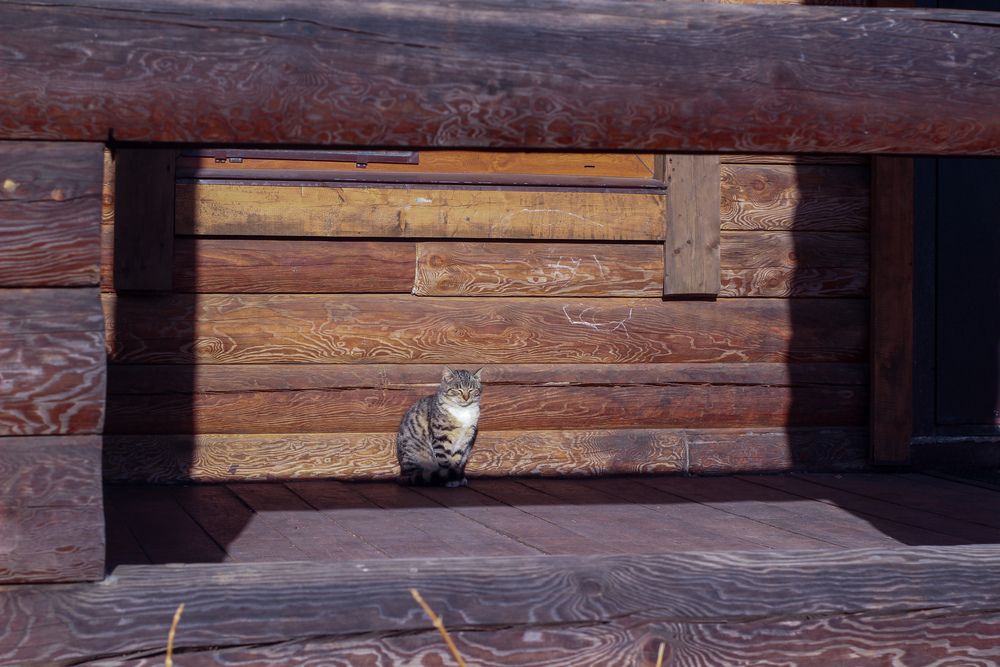Photograph by Кристина Новикова