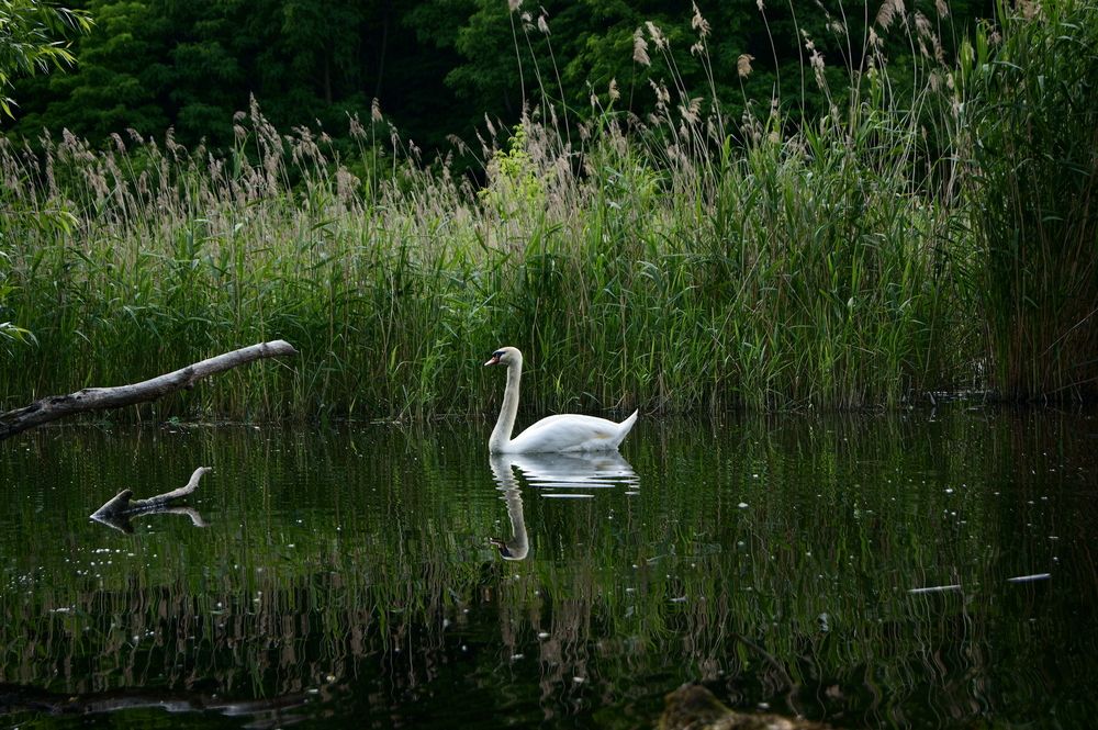 Photograph by Sergej Roor